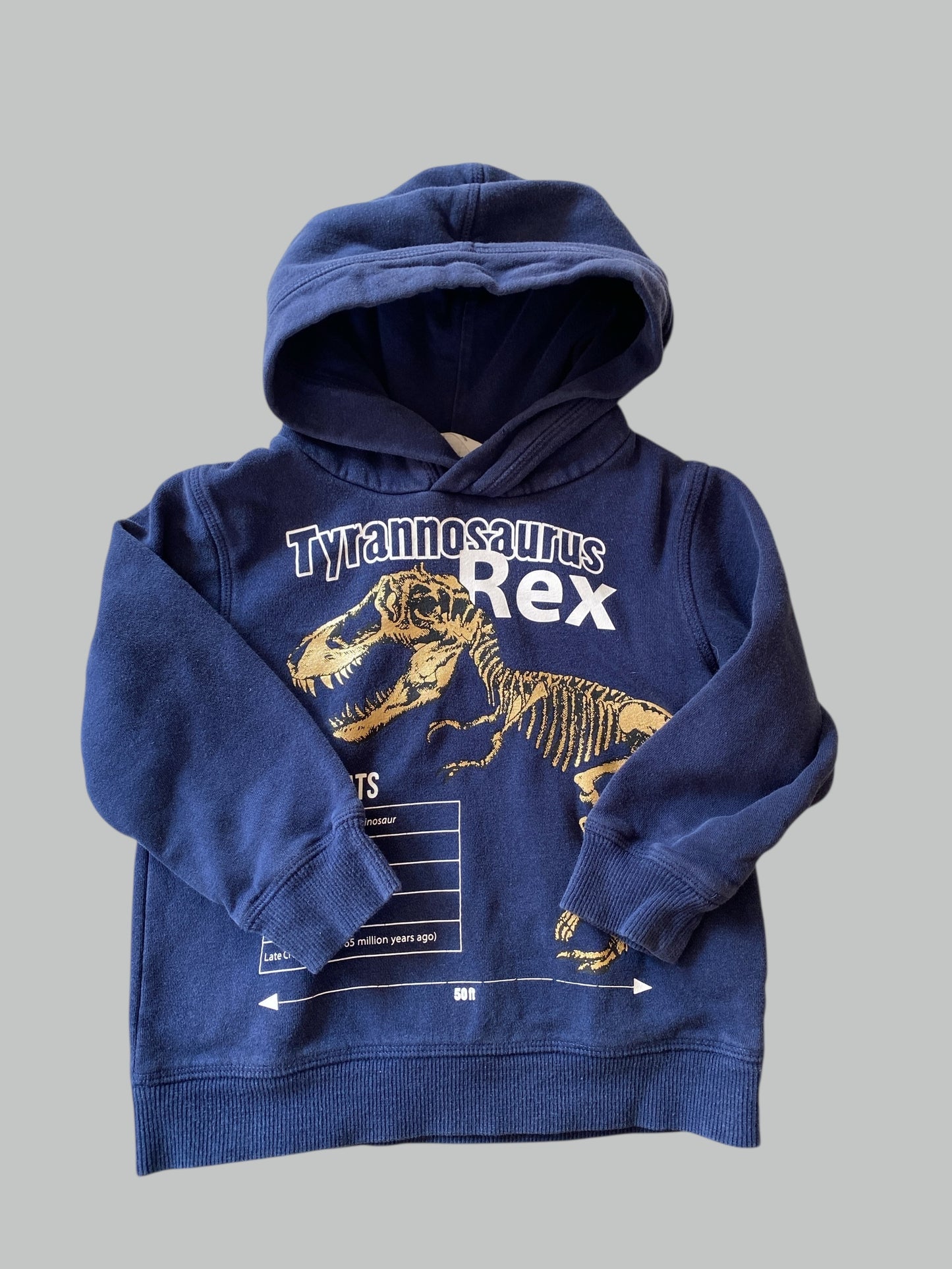 Dinosaur hoodie 2-4Y | H&M