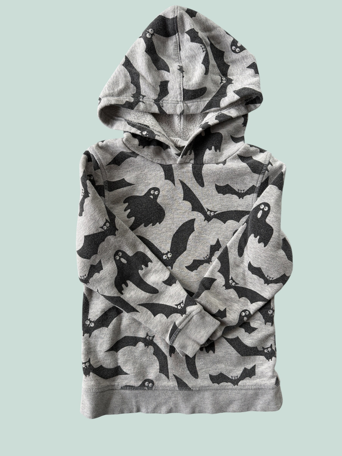 Spooky hoodies cotton blend sweater 4-6Y | H&M