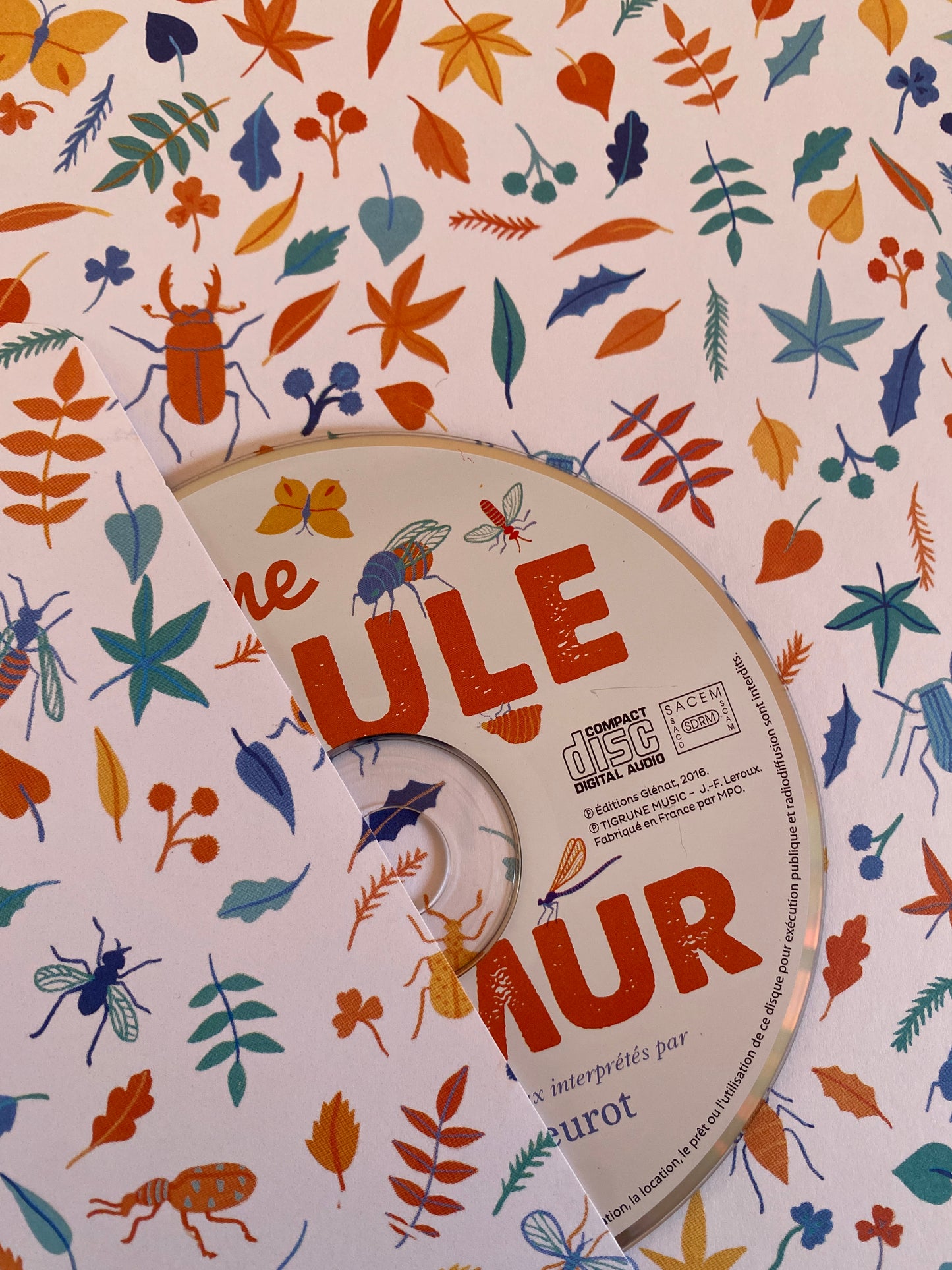 FRENCH Une Poule sur un mur book + CD