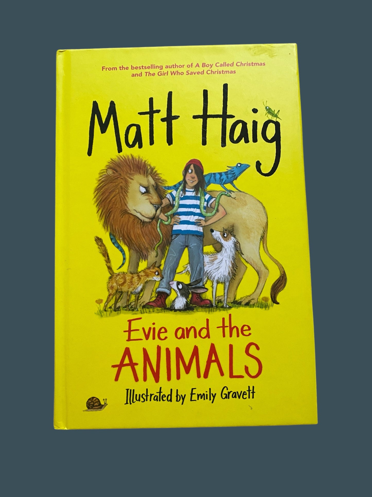 Evie and the Animals by Matt Haig