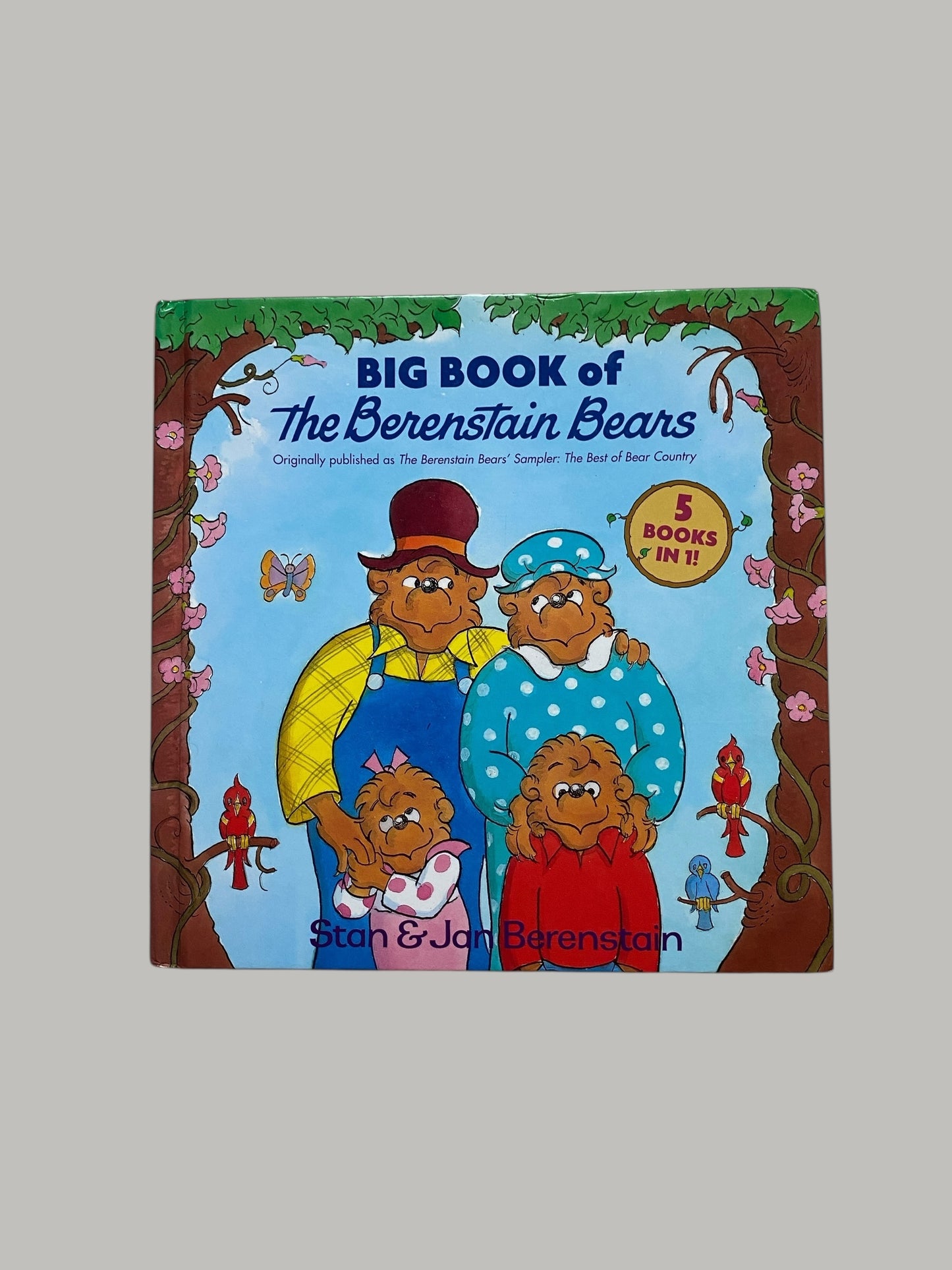 Big Book of the Berenstain Bears - 5 books in 1