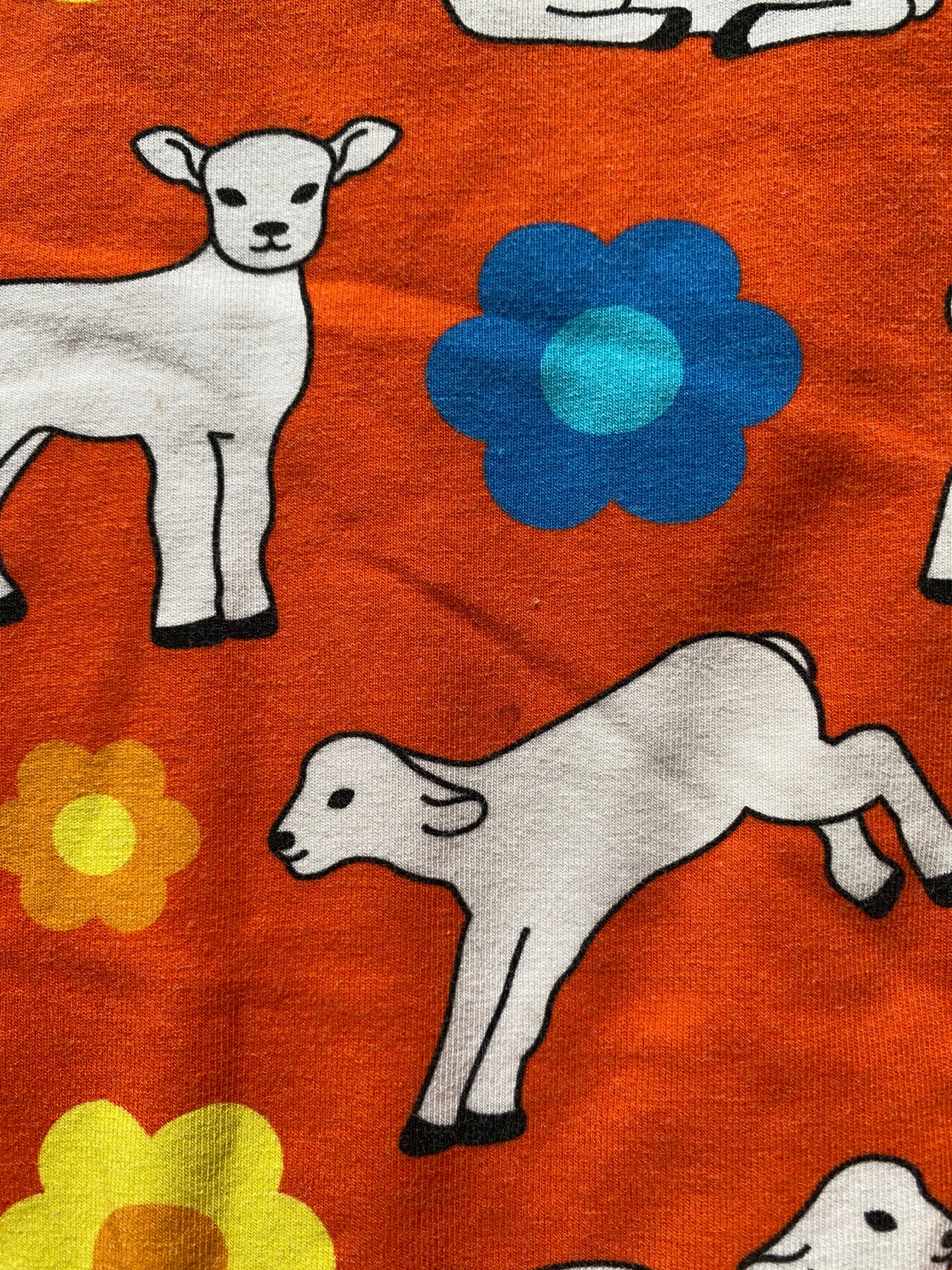 Orange lamb t-shirt 3-4Y | Oh Baby