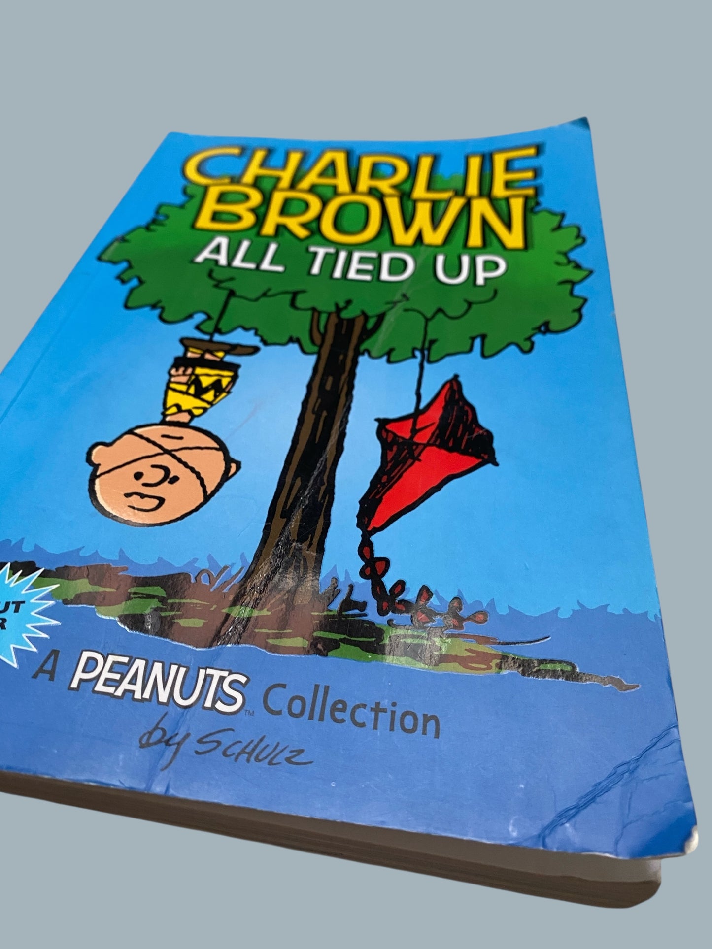 Charlie Brown All Tied Up