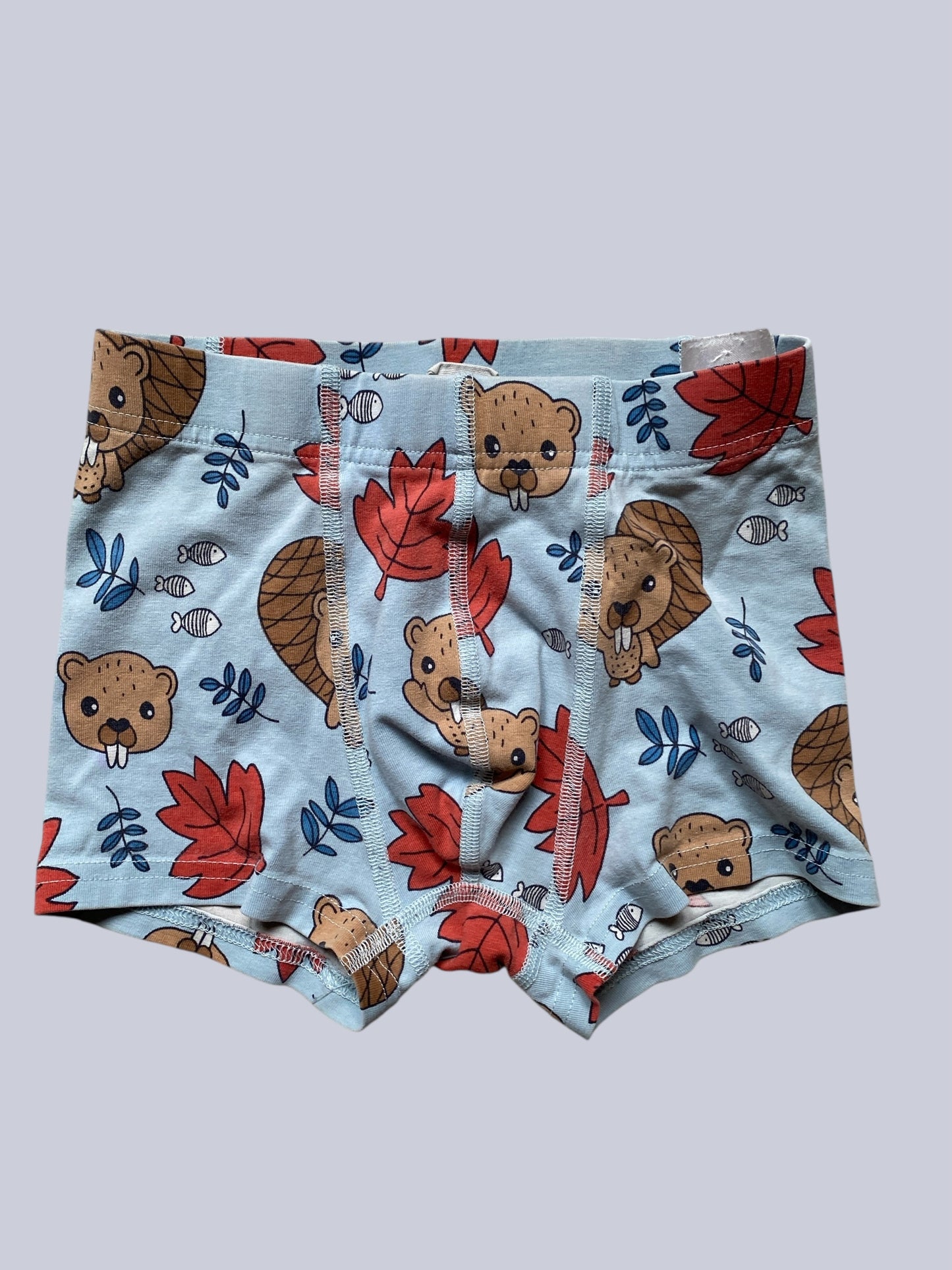 Organic cotton boxer shorts 5-7Y (110-116) | Maxomorra