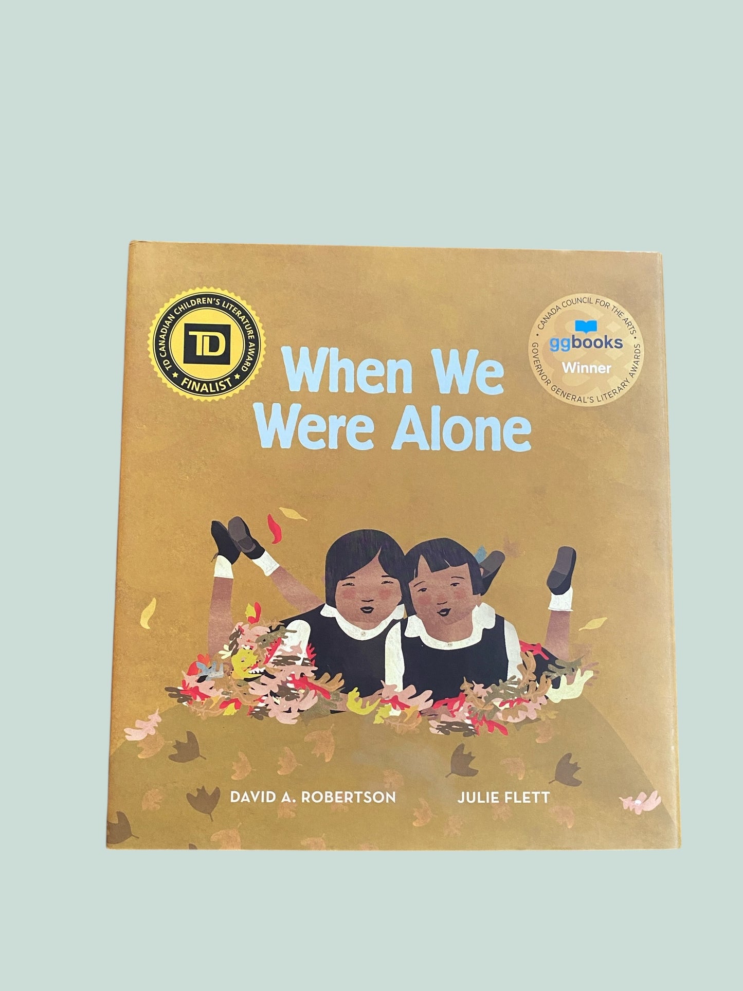 When We Were Alone by David Robertson and Julie Flett