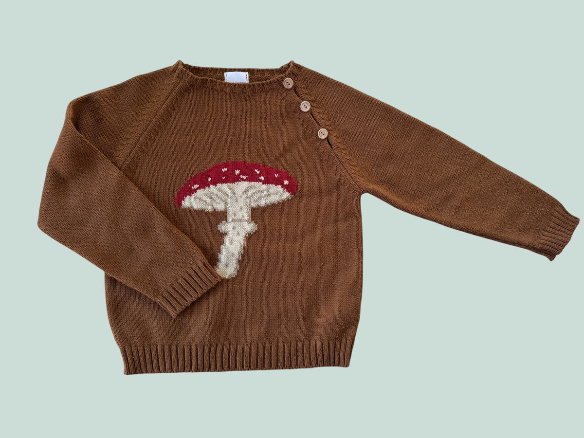 Brown mushroom sweater 4Y | Dona Carmen