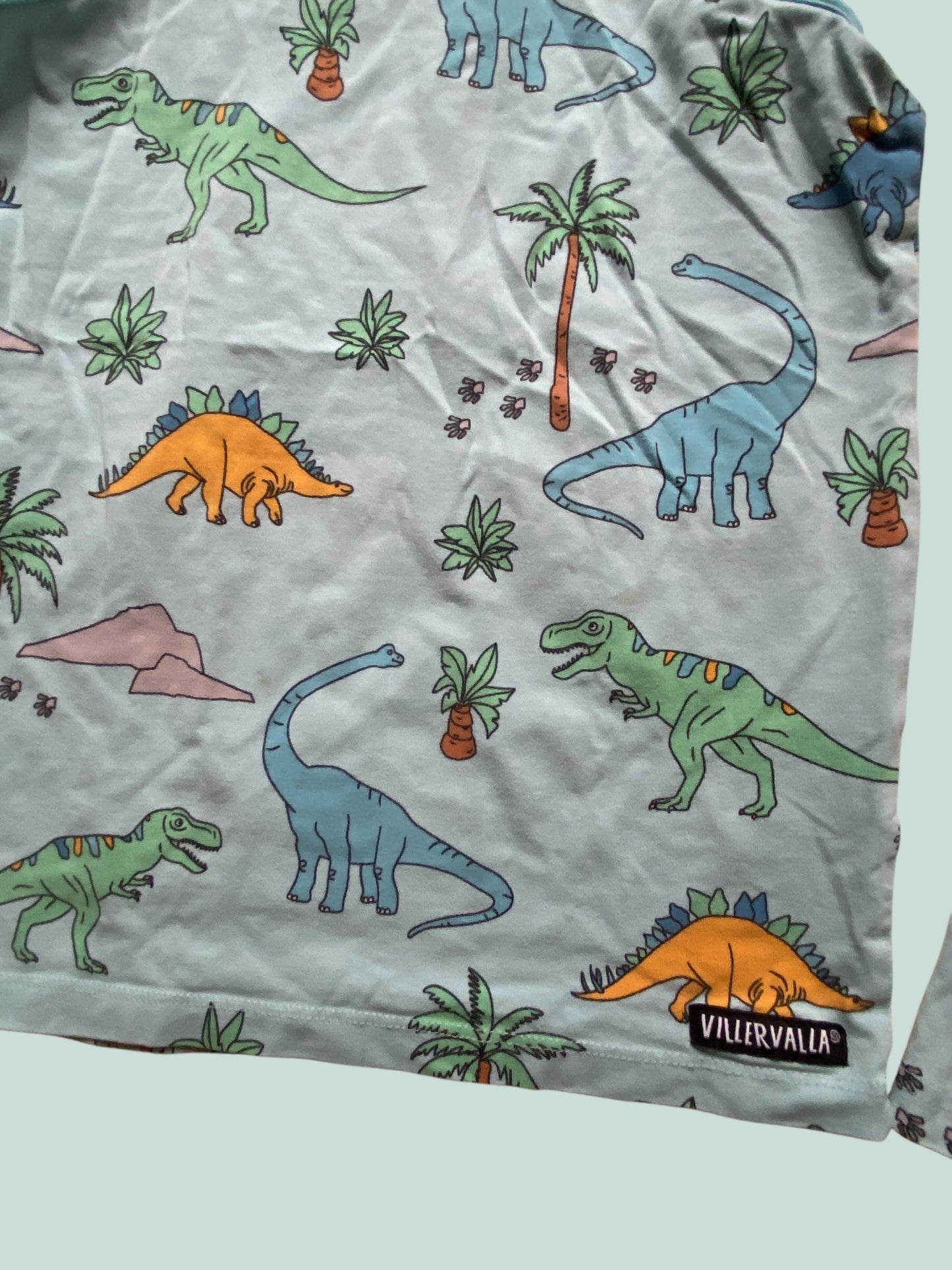Organic cotton dino shorty set 8-10Y (134) | Villervalla