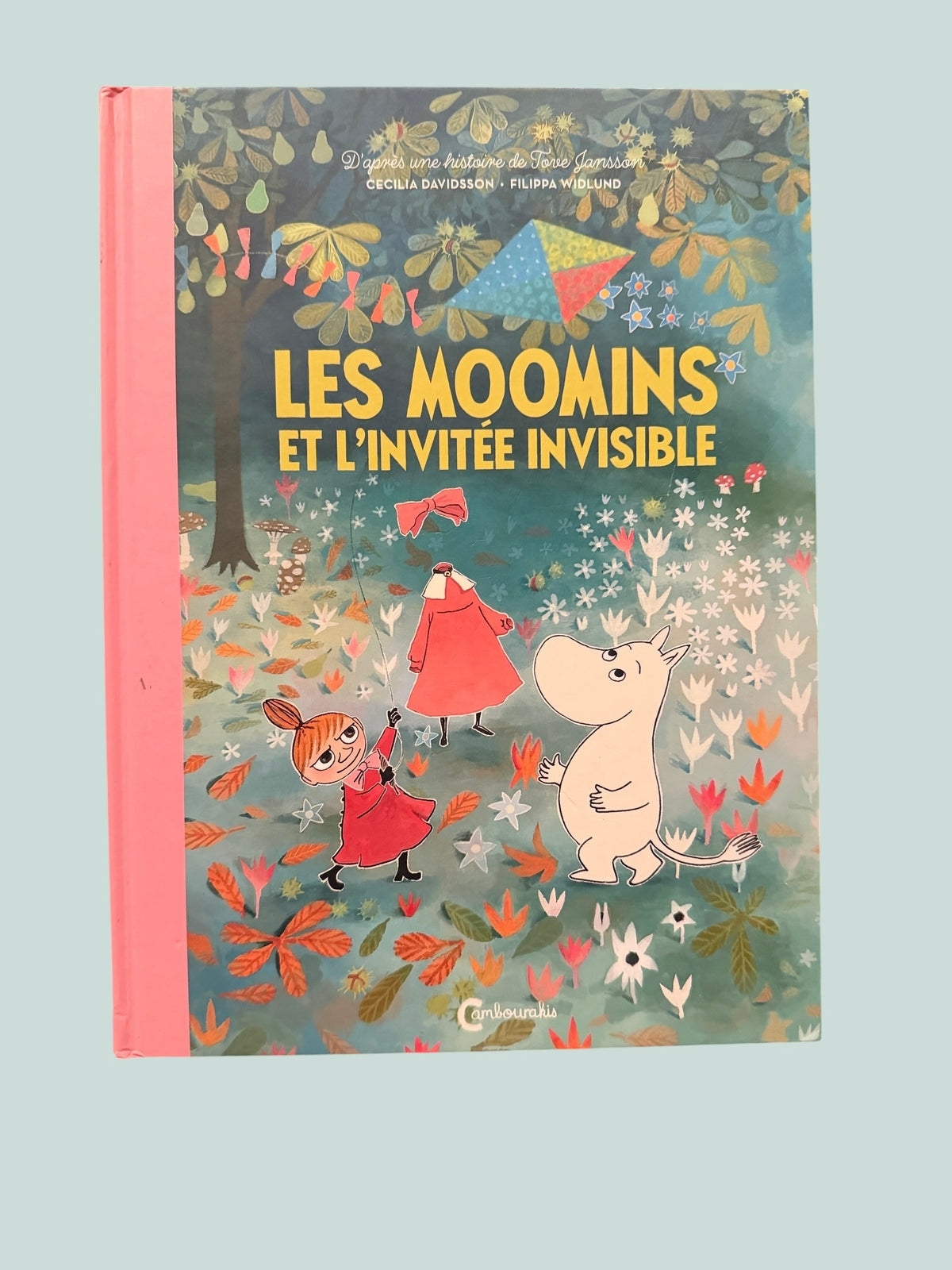 FRENCH Les Moomins et l'invitée invisible