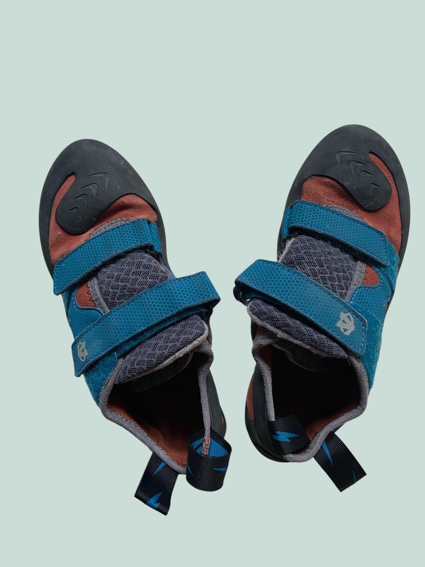 Raptor climbing shoes adult 7.5 US/ 40 EU | Evolv