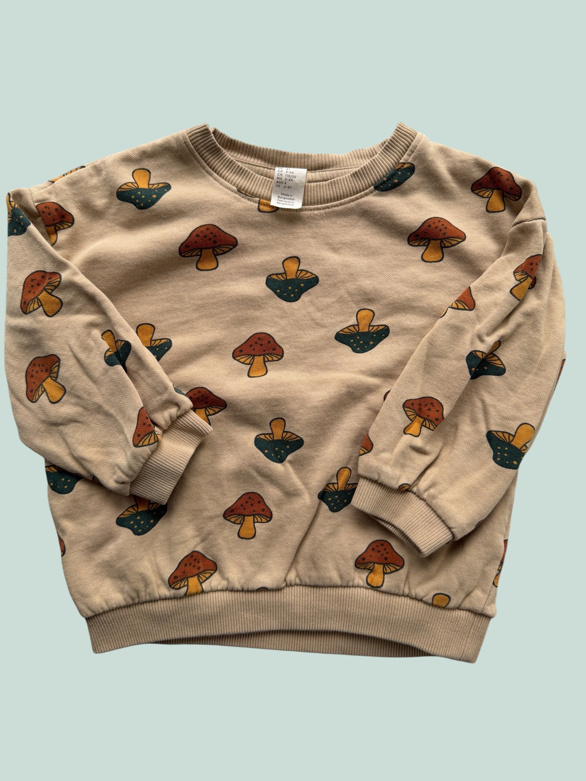 Cotton mushroom sweater 3-4Y | H&M