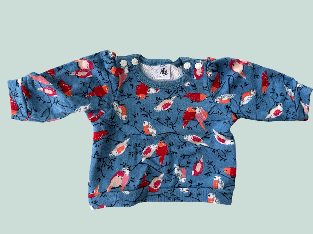 Cotton parrot sweater 6m | Petit Bateau