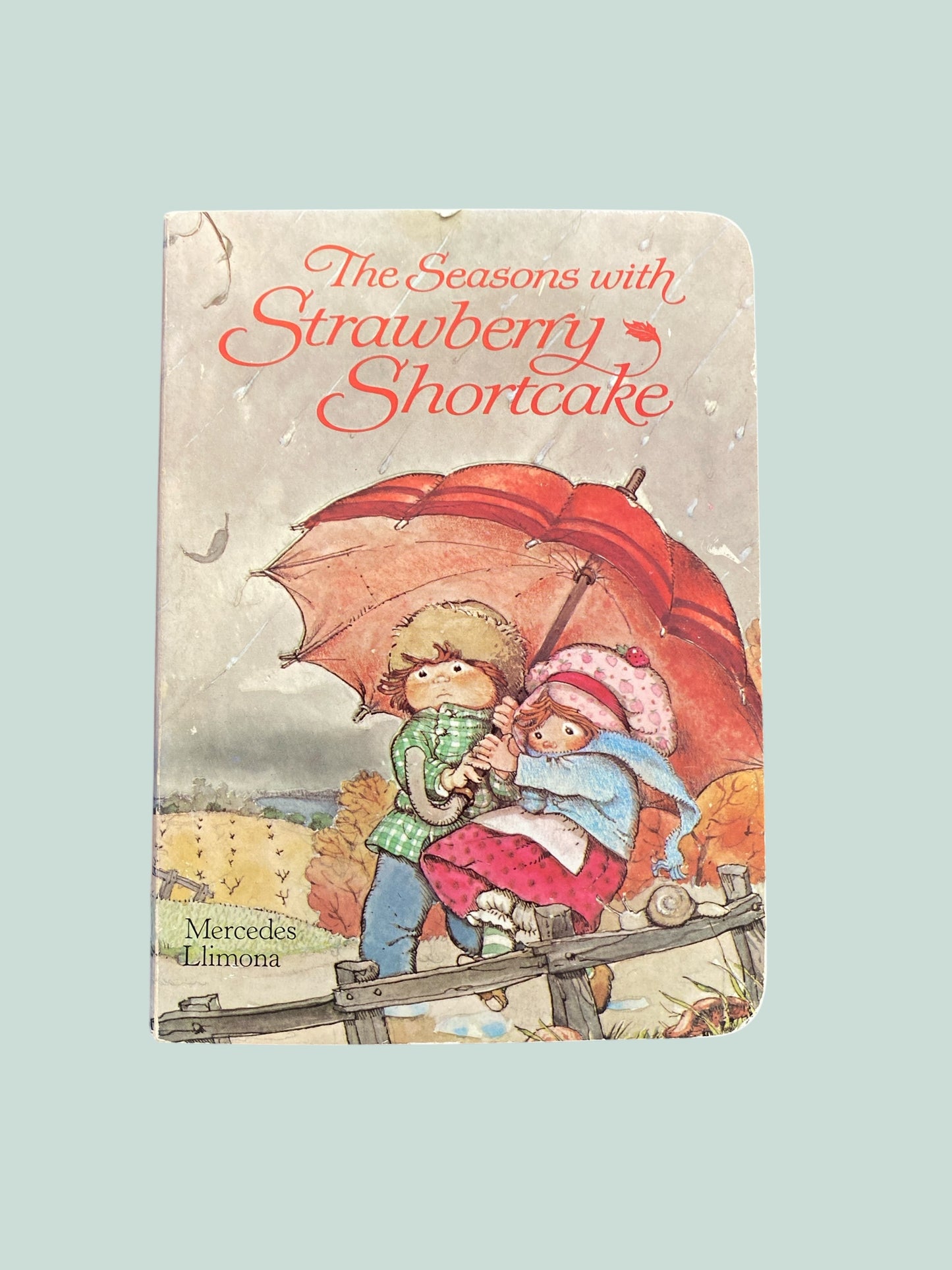 The Seasons with Strawberry Shortcake