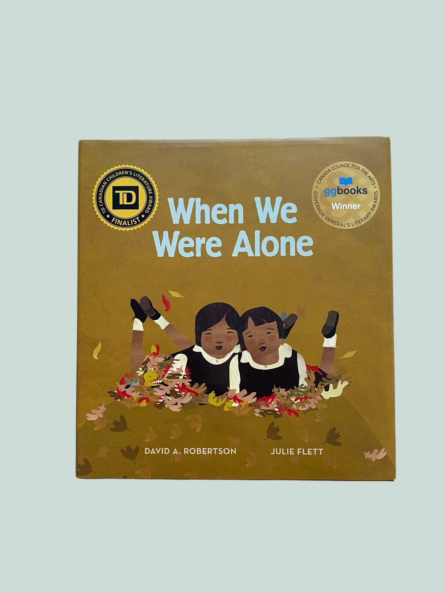 When We Were Alone by David Robertson and Julie Flett