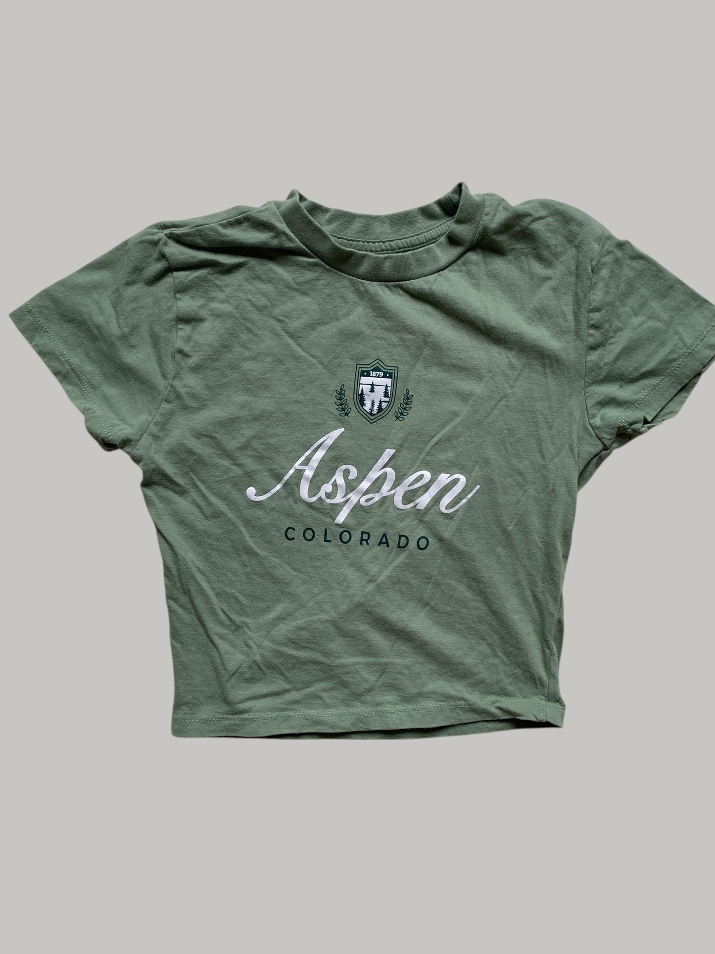 Cotton Aspen Colorado t-shirt 4-5Y (xs) | Bluenotes