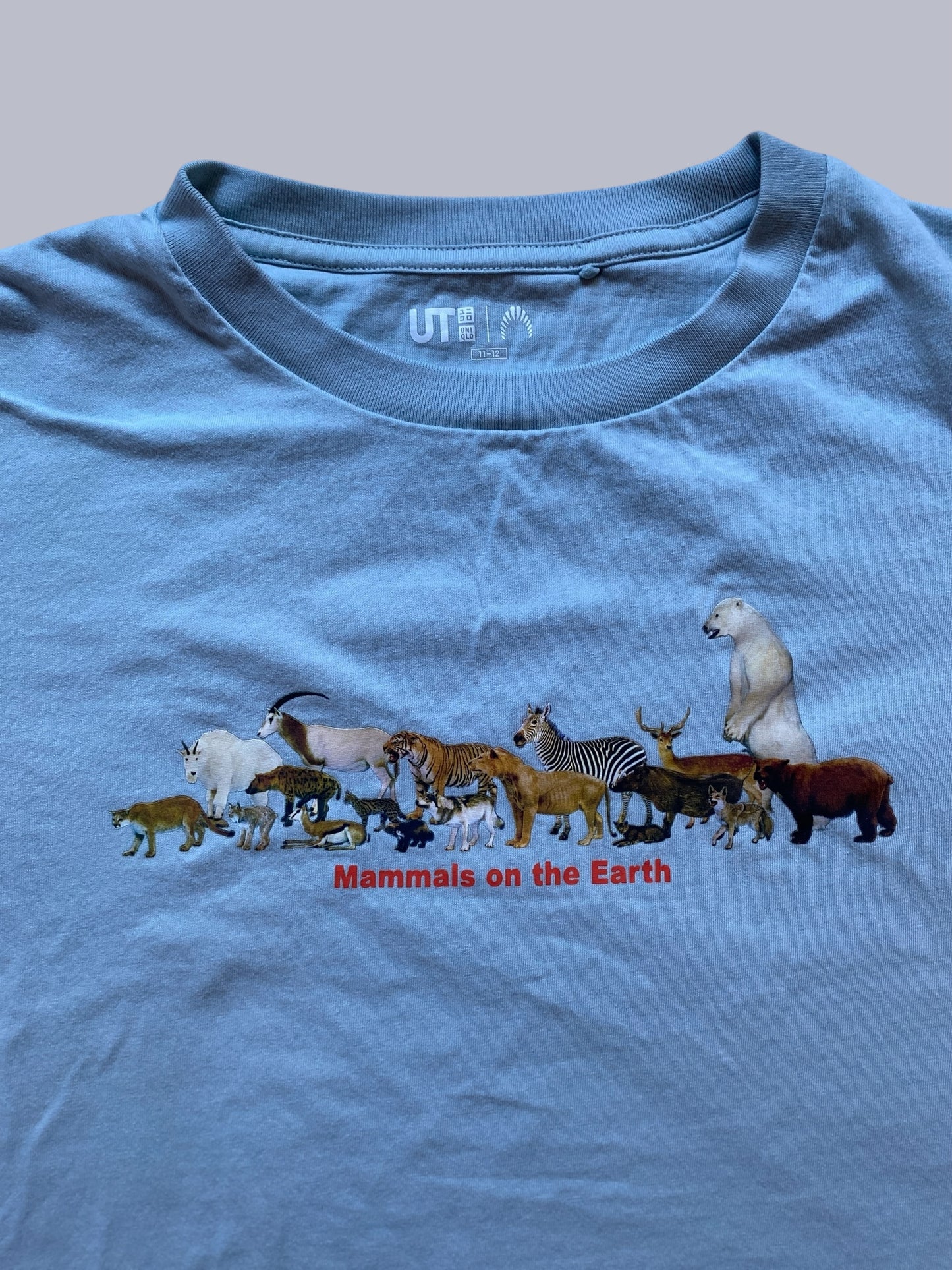 Cotton Mammals on the Earth t-shirt 11-12Y | Uniqlo