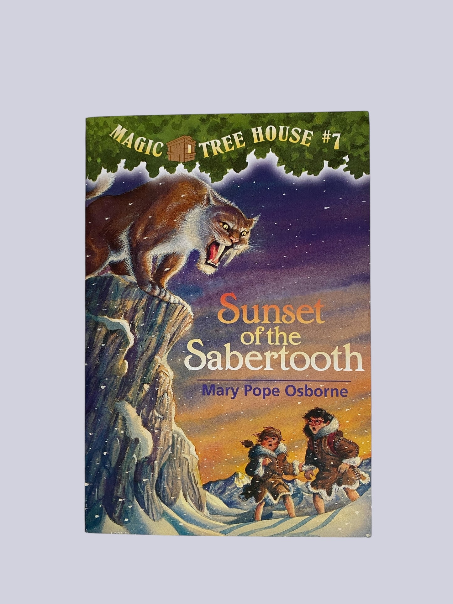 Magic Tree House - various titles