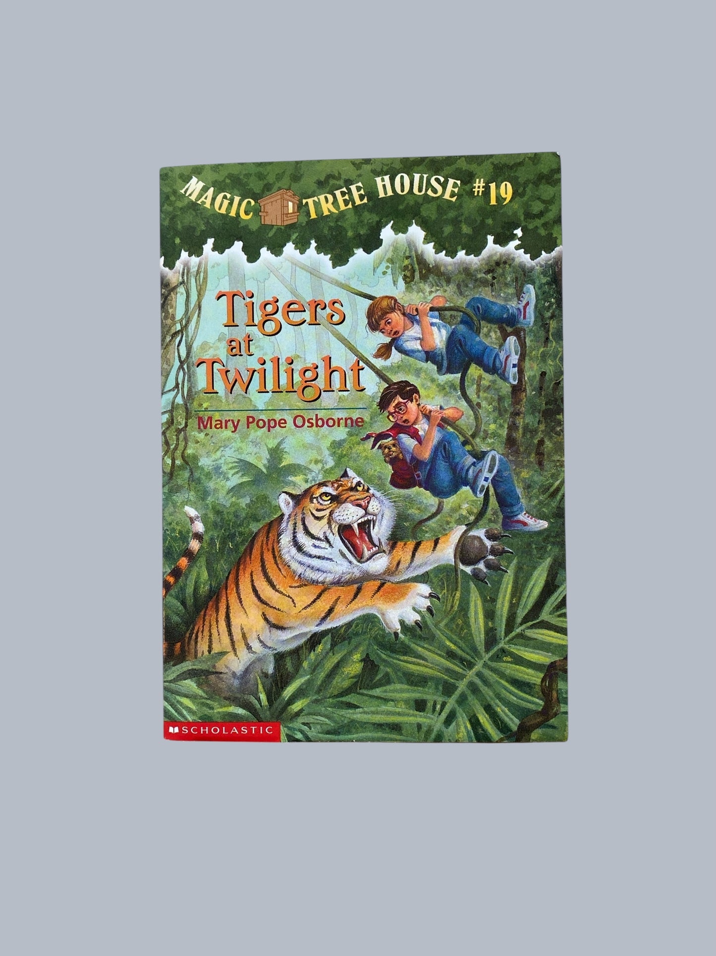 Magic Tree House - various titles
