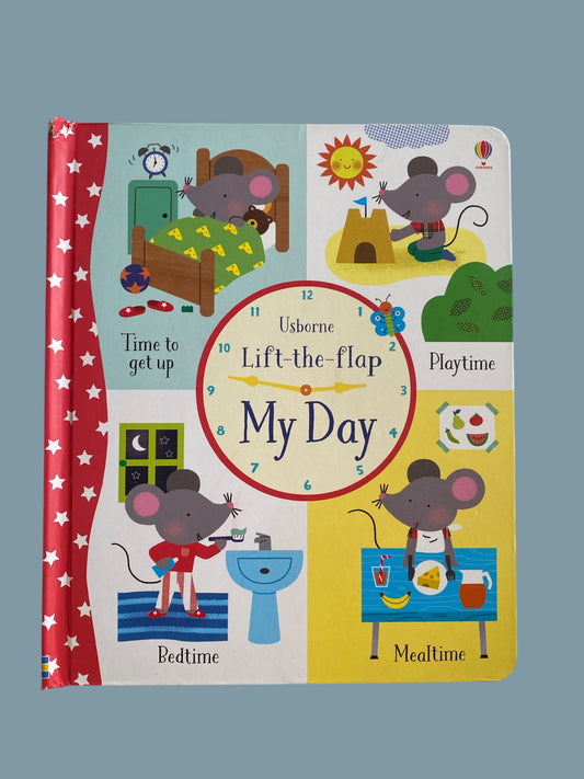 Usborne Lift the flap book My Day