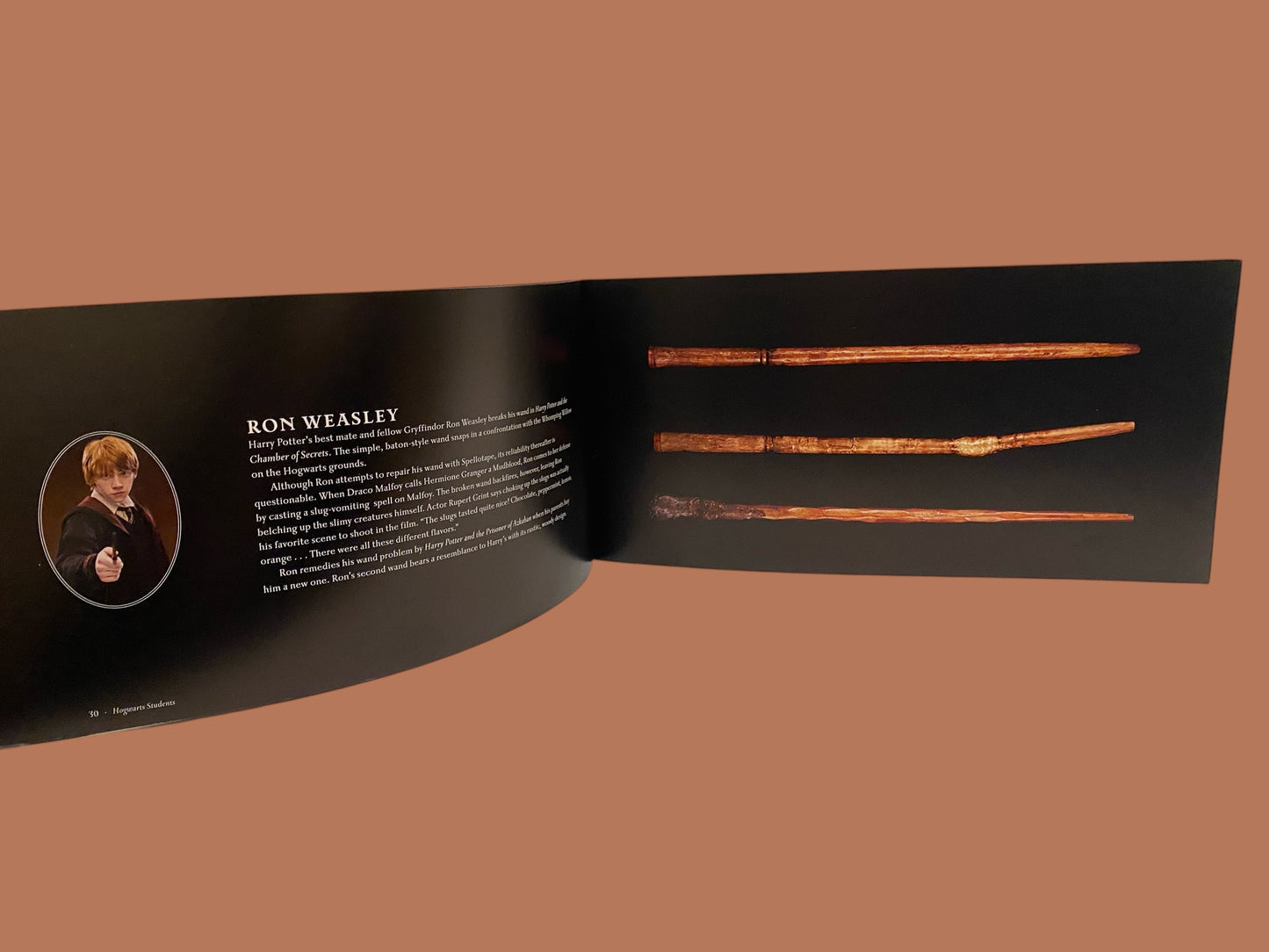Harry Potter - Wand Collection book
