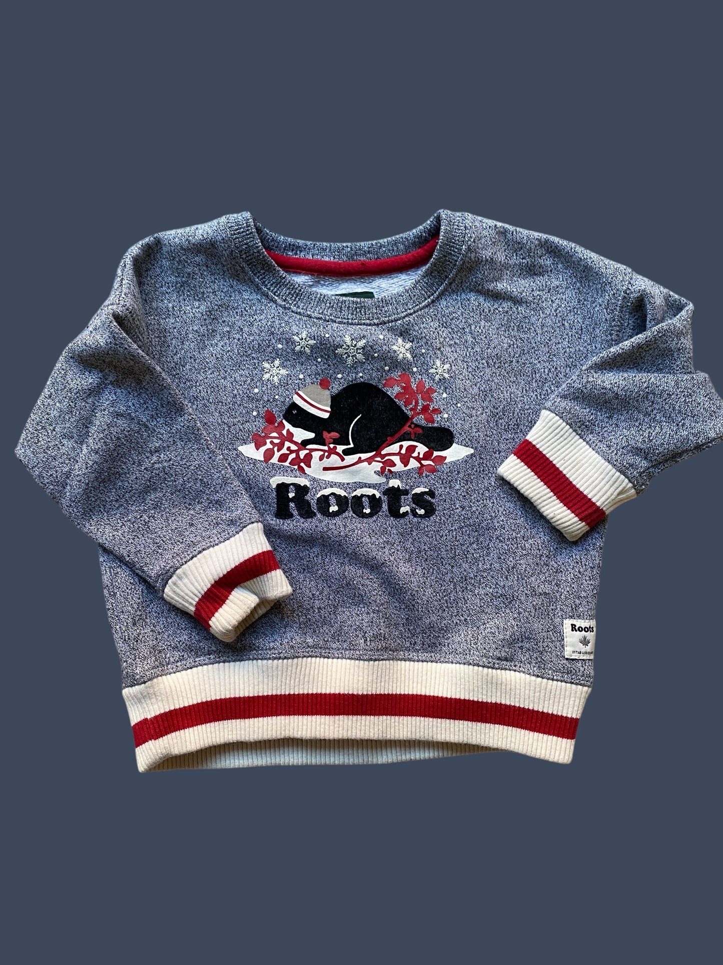 Beaver sweater 6-12m | Roots