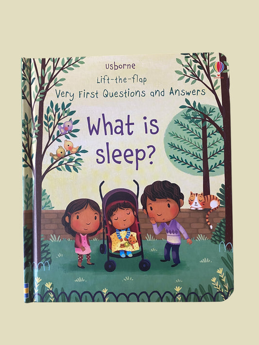 What is sleep? Lift the flap book