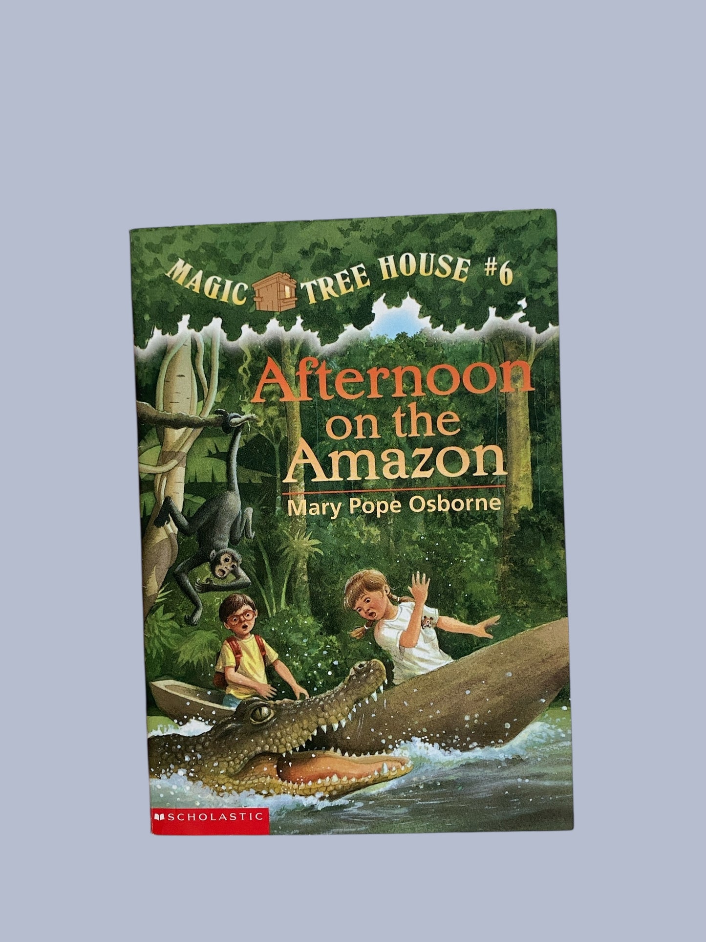 Magic Tree House - various titles
