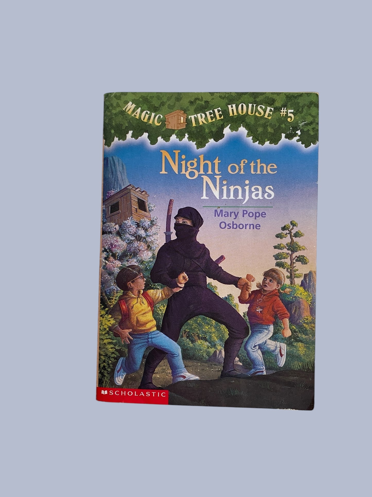 Magic Tree House - various titles