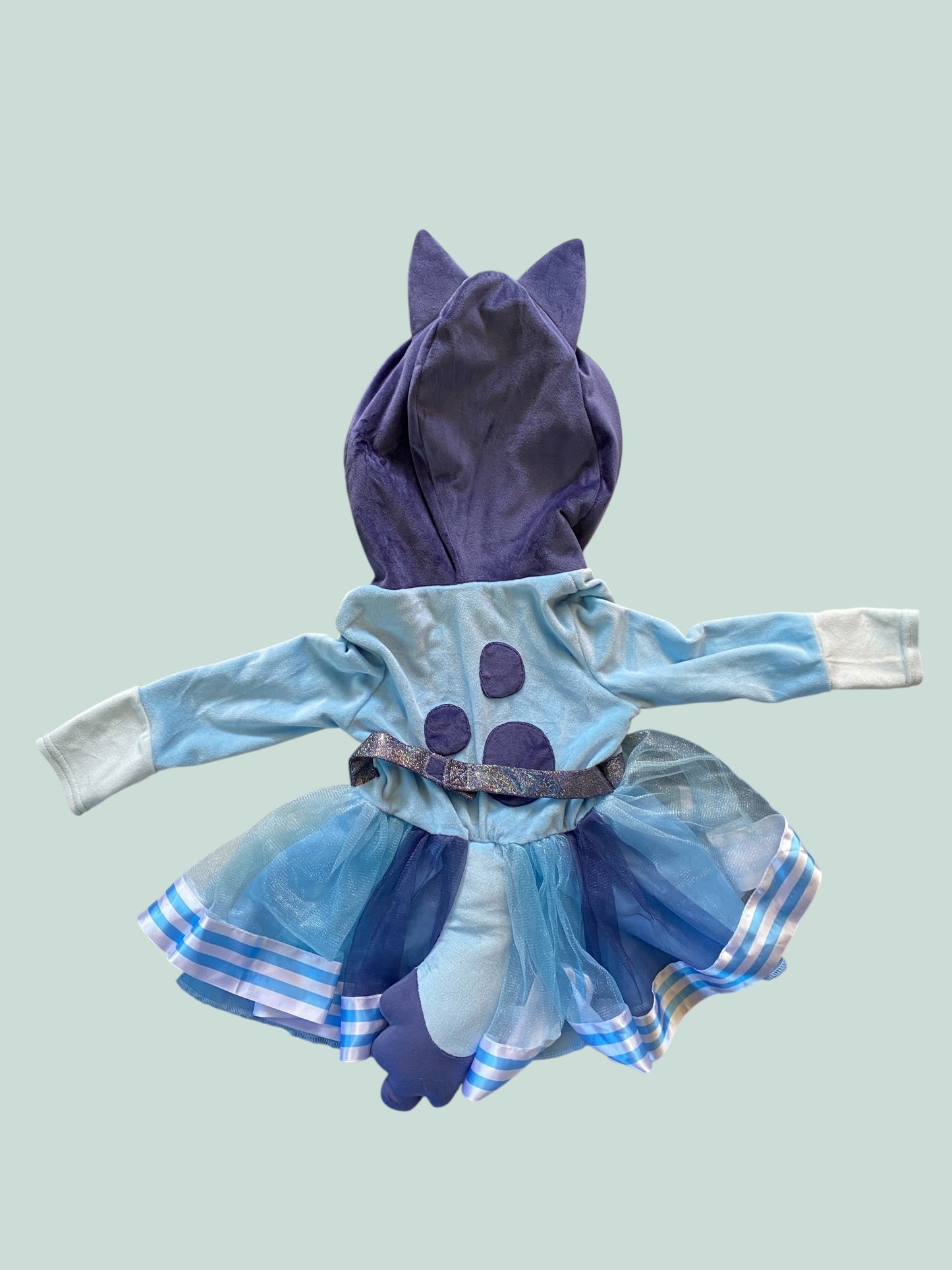 Bluey costume 2Y | Bluey