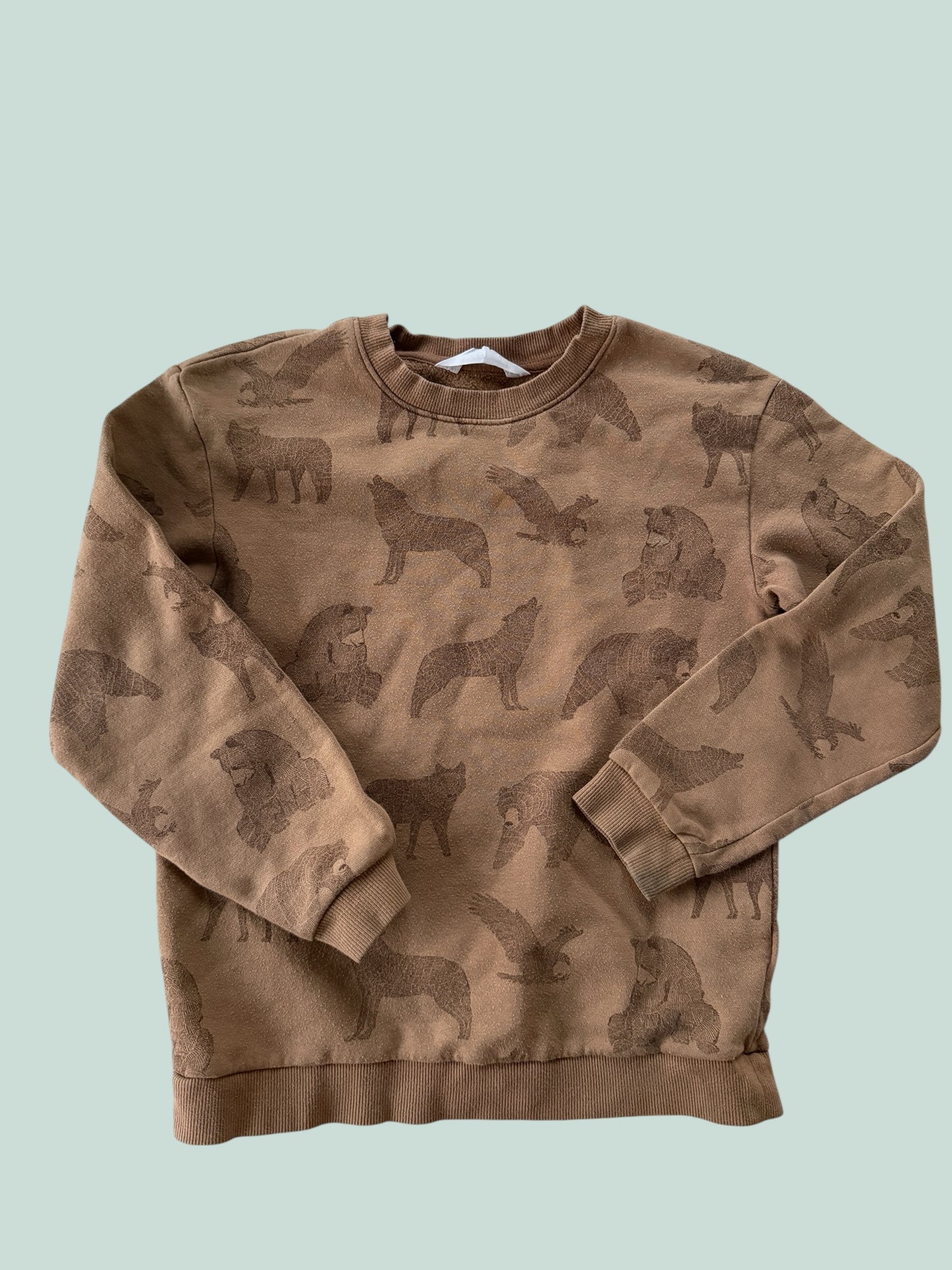 Cotton animal sweater 8-10Y | H&M