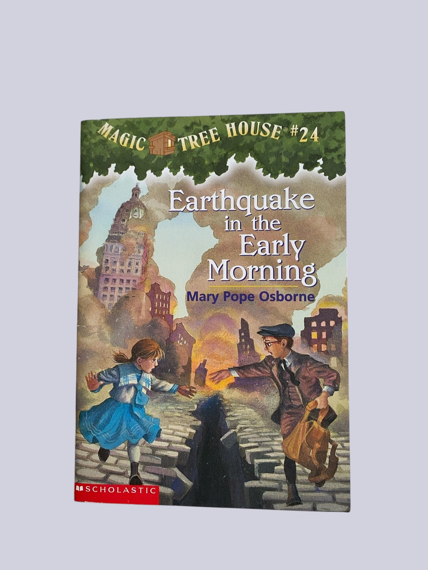Magic Tree House - various titles