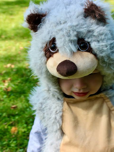Plush raccoon costume 12-24m | Coco Village