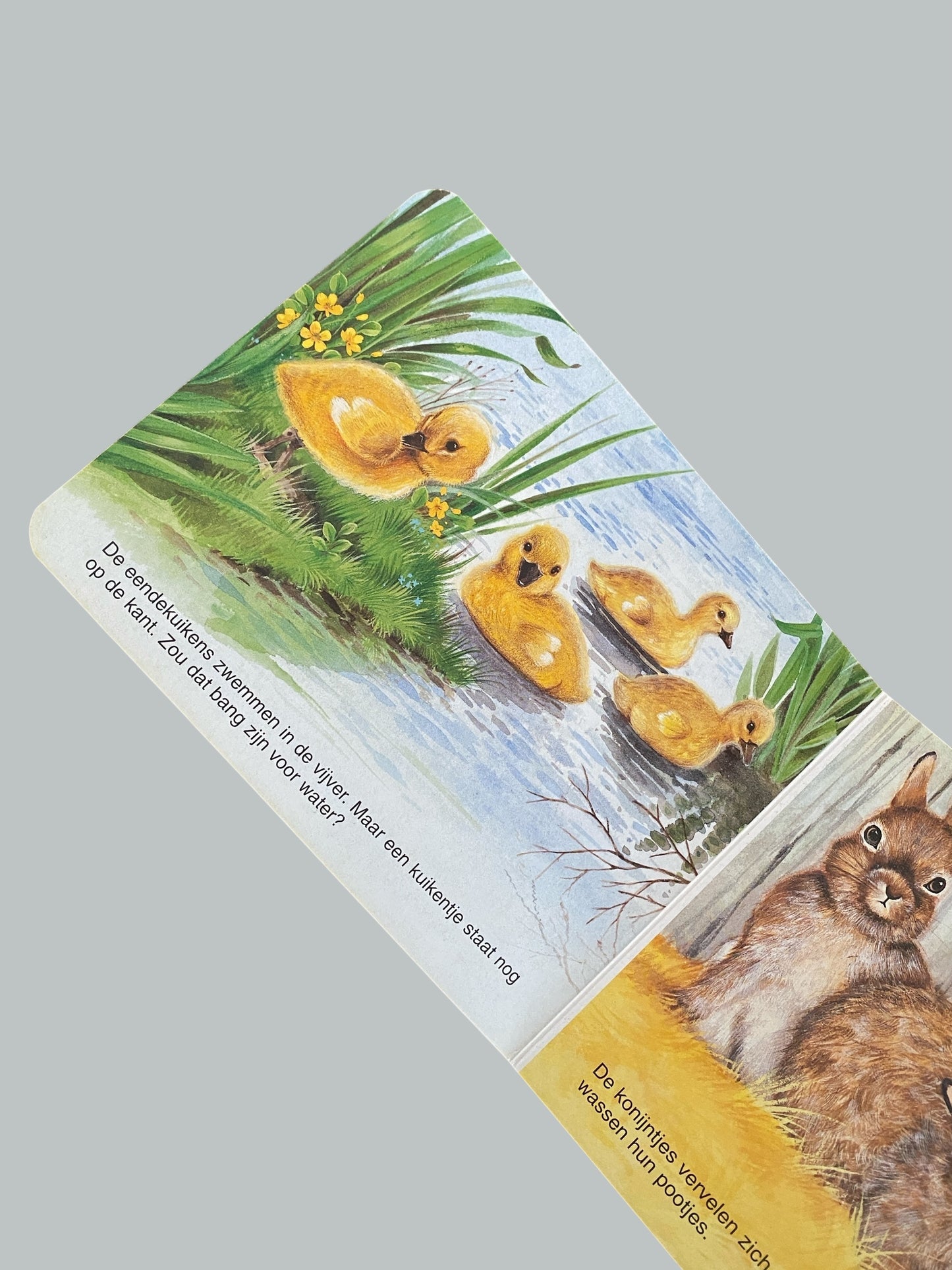 DUTCH - Dierenbaby's/Animal Babies