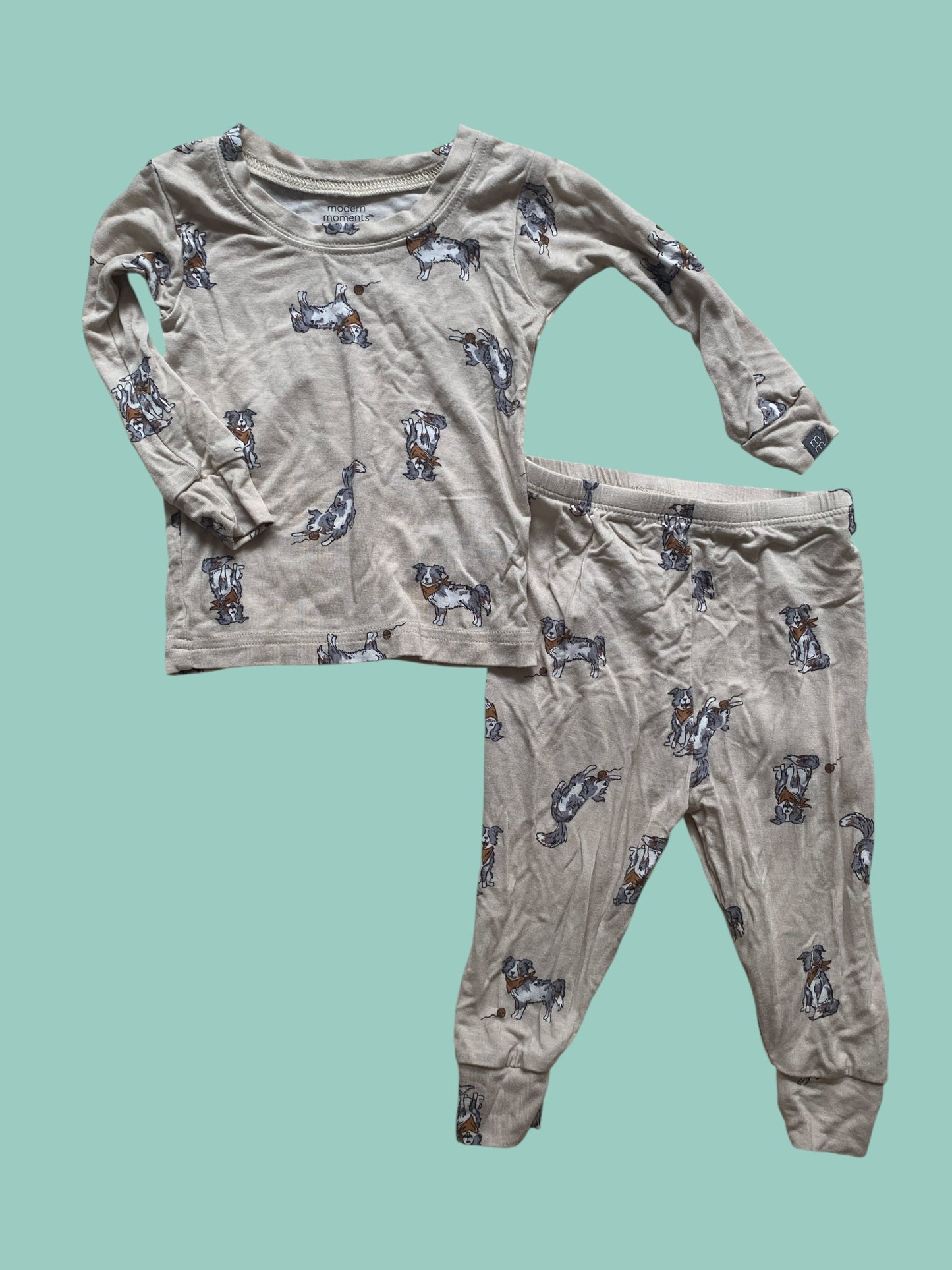 Viscose dog PJ set 12m | Gerber