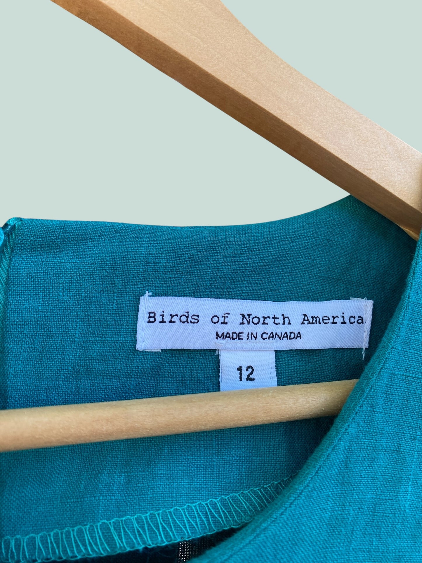 Teal linen dress 'Whistling Snipe' size 12 women's | Birds of North America NEW