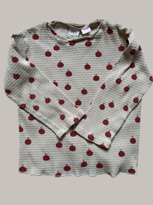 Cotton apple long sleeve top 4-5Y | Zara