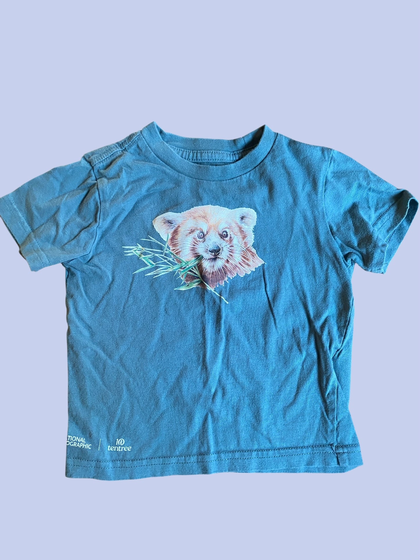 Organic cotton t-shirt 18-24m | Ten Tree