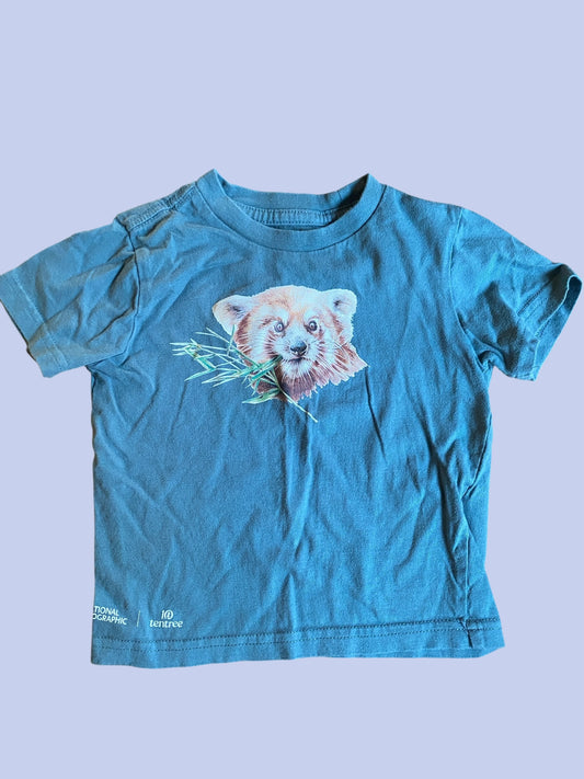 Organic cotton t-shirt 18-24m | Ten Tree