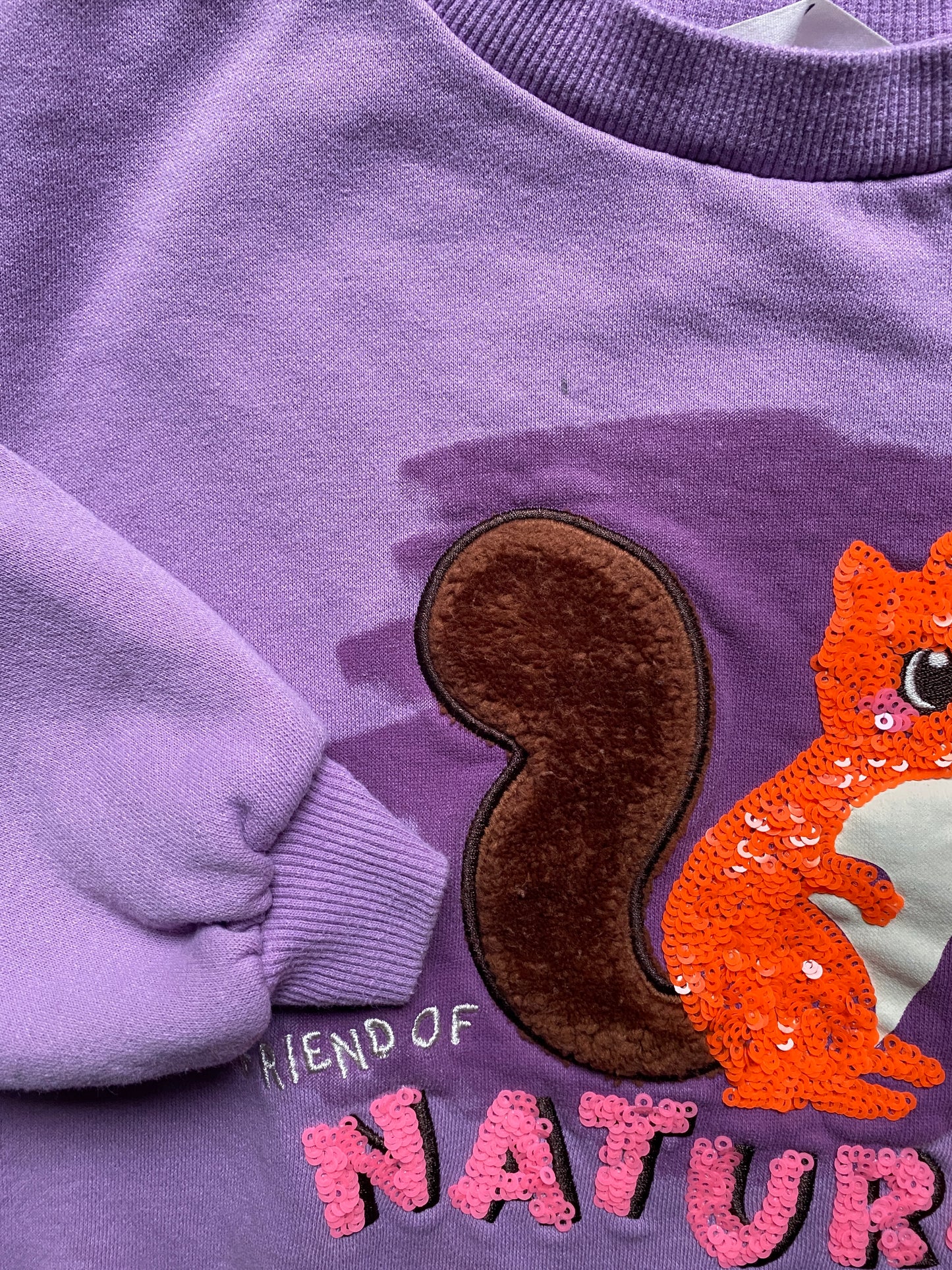 Squirrel sequin sweater 4-6Y | H&M