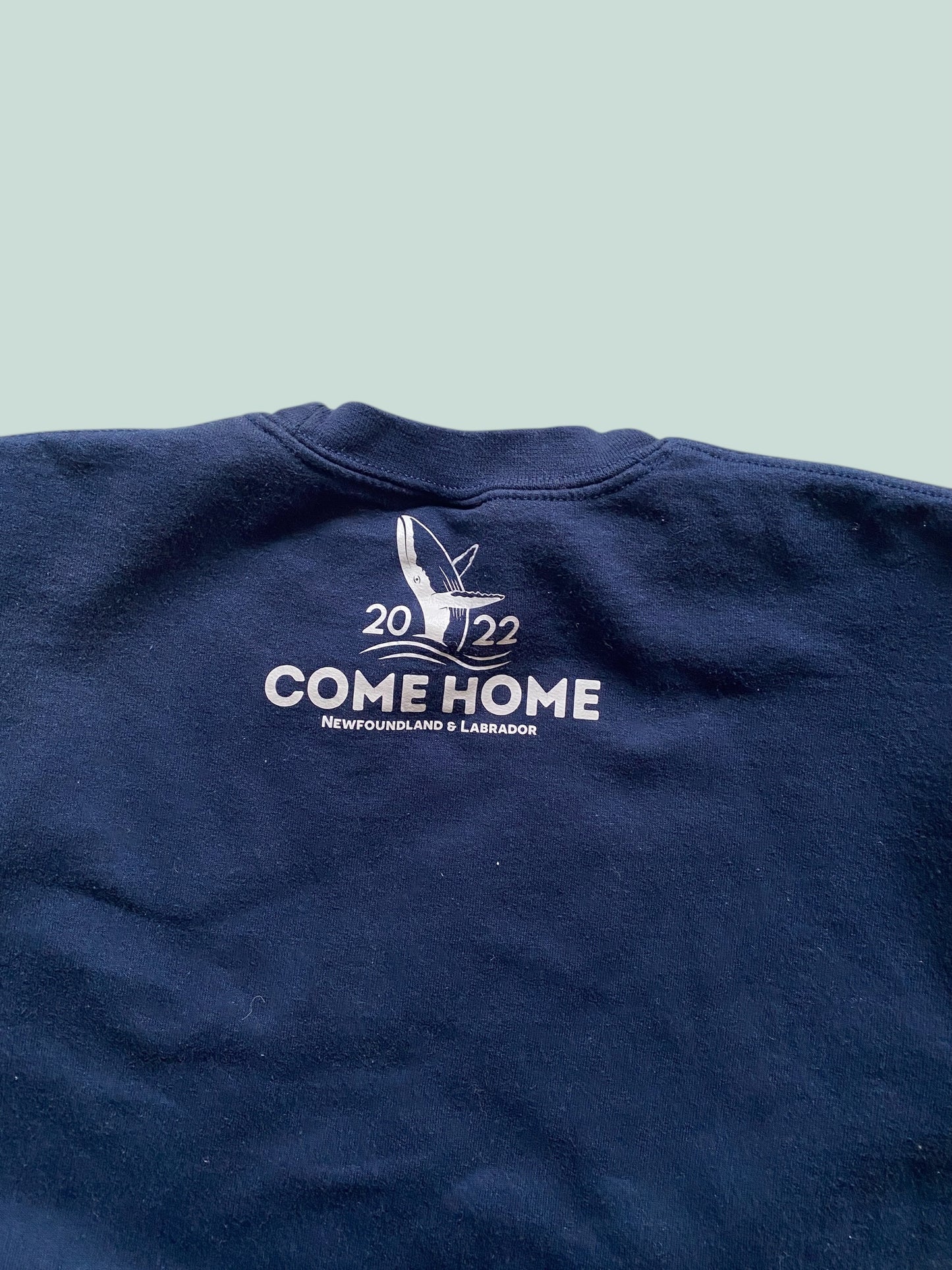 Newfoundland themed sweatshirt ~8-10Y