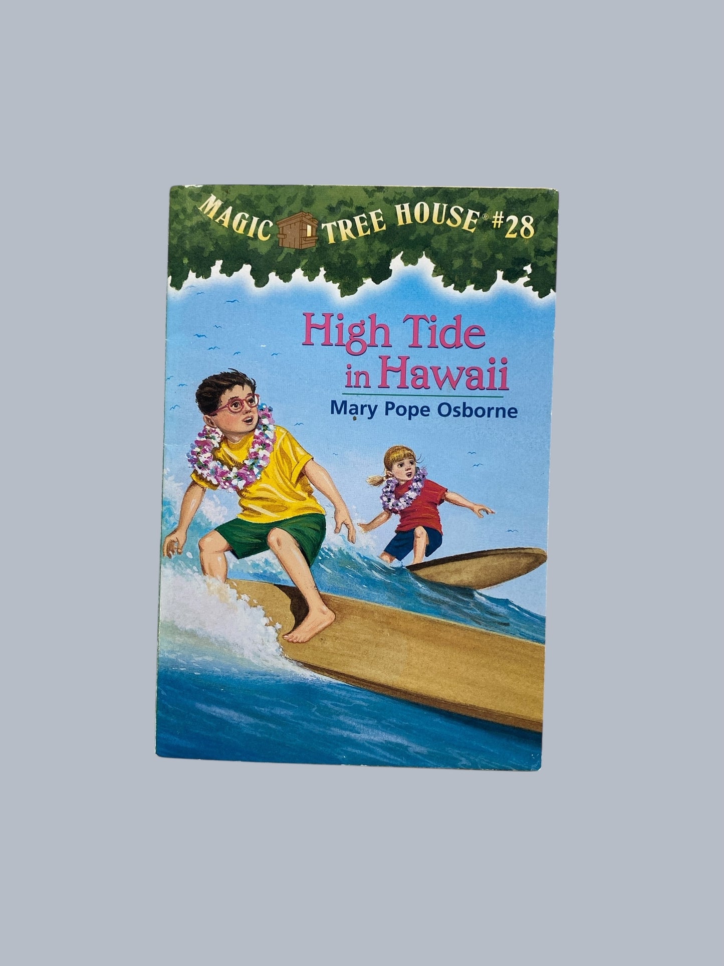 Magic Tree House - various titles