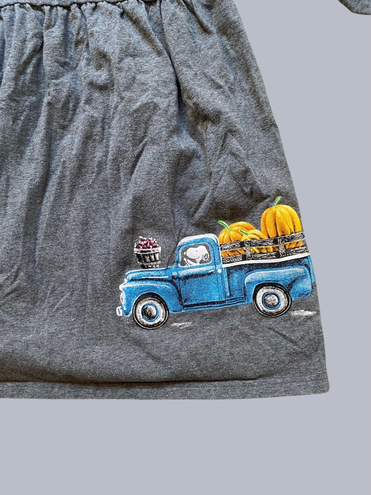 Grey long sleeve Peanuts pumpkin dress 4-6Y