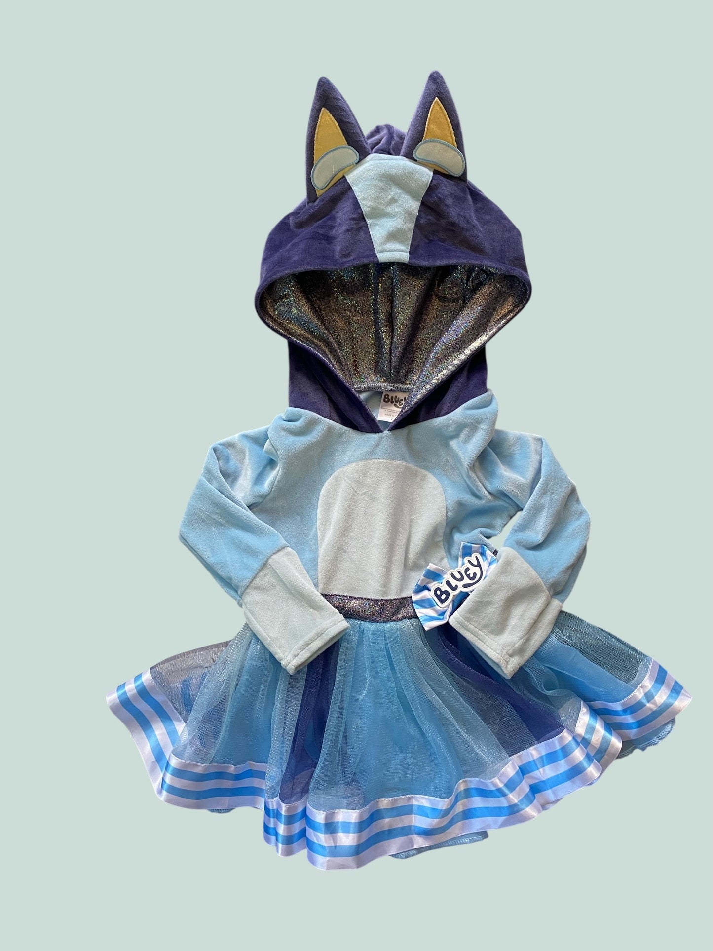 Bluey costume 2Y | Bluey