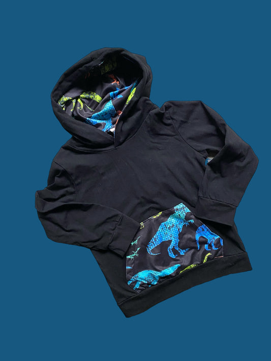 Dinosaur hoodie 4-5Y