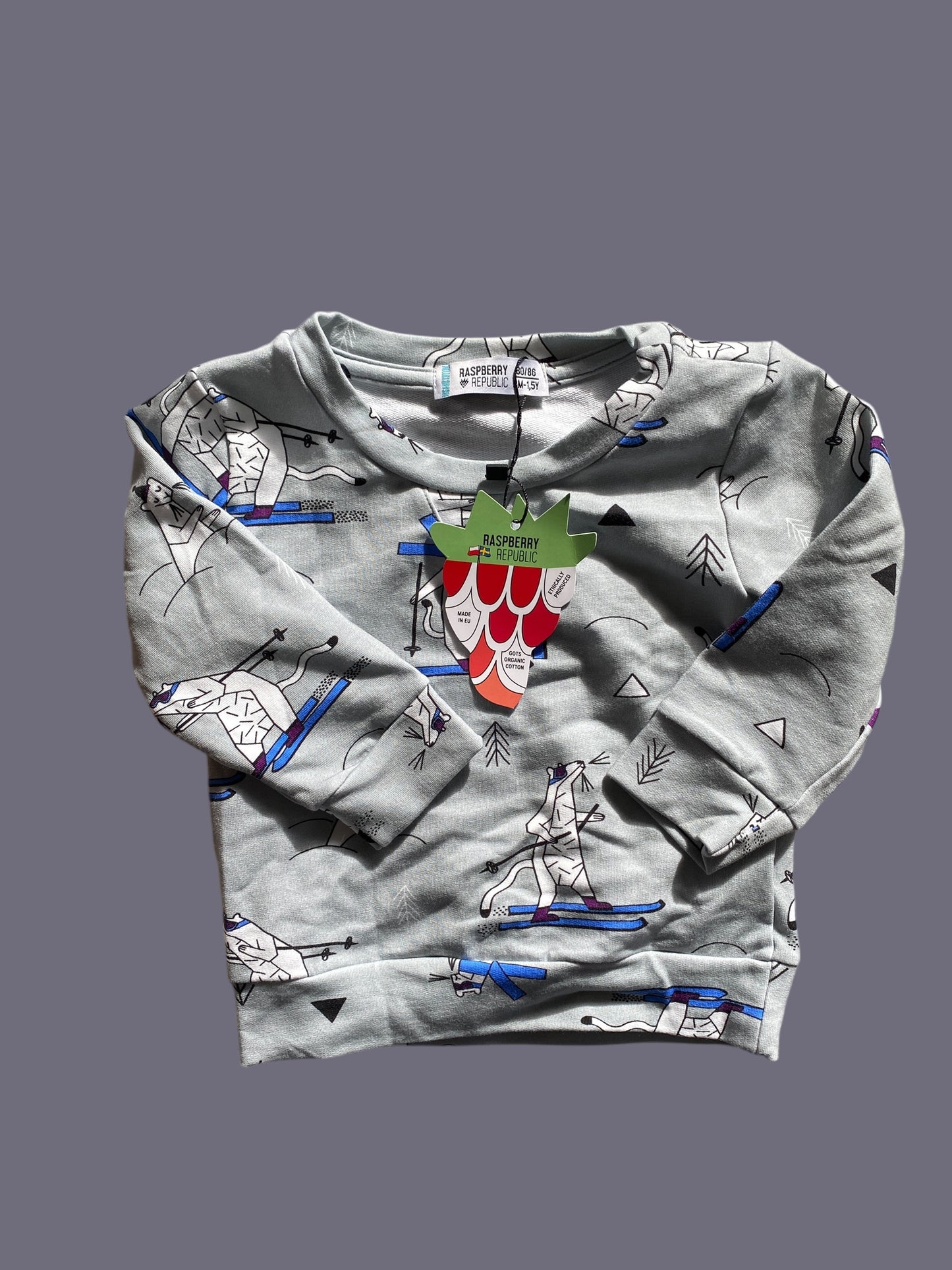 Organic cotton sweatshirt 9m-1.5Y | Raspberry Republic