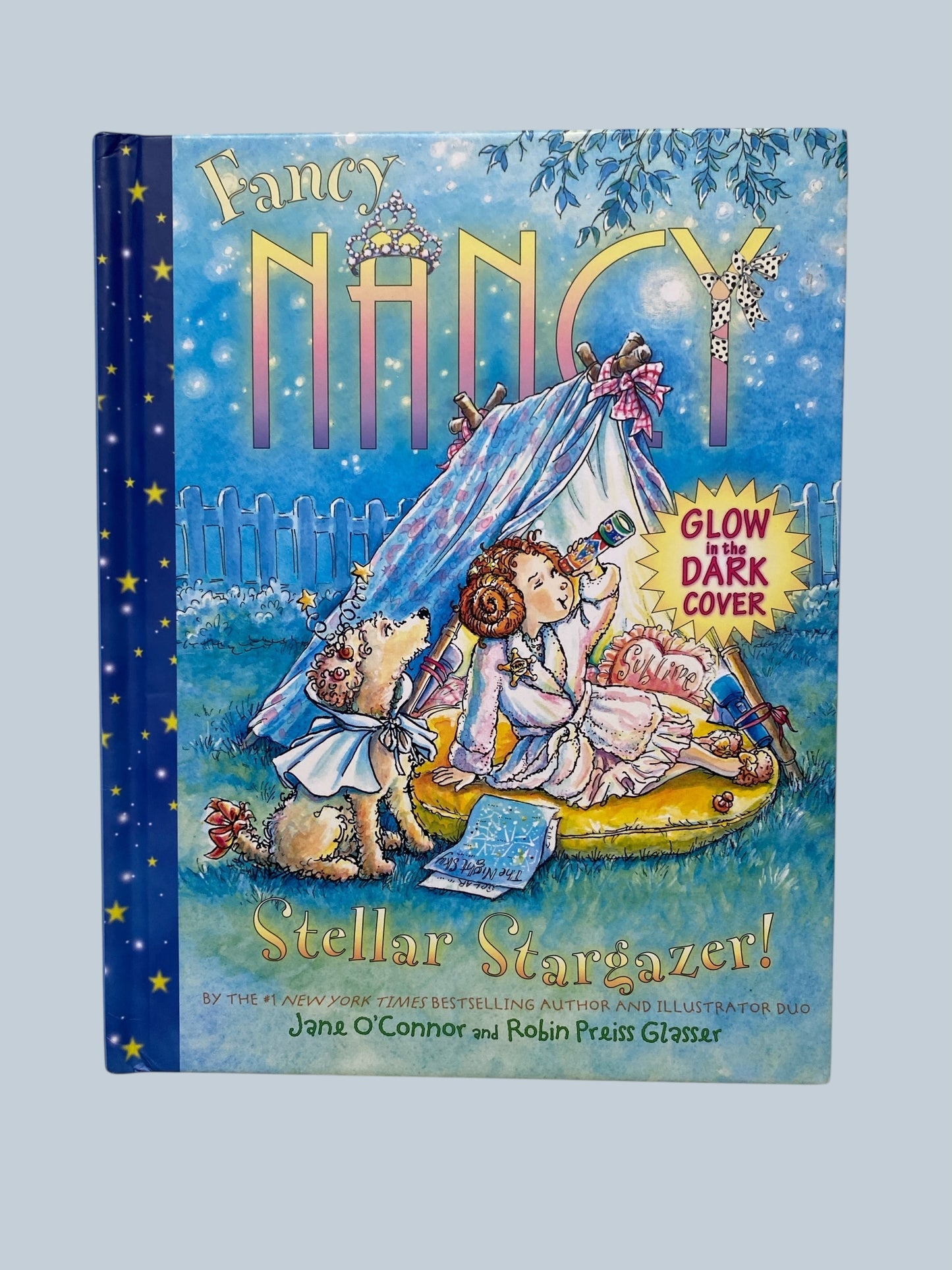 Fancy Nancy Stellar Stargazer