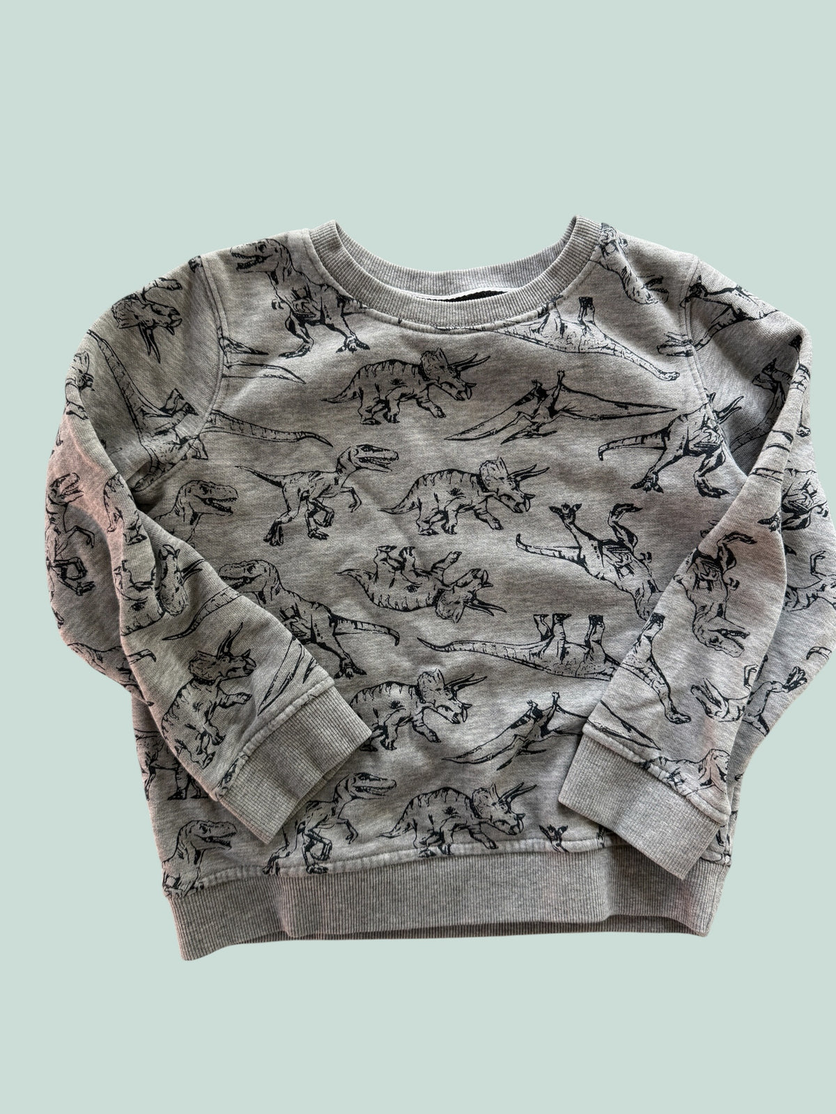 Cotton blend dino sweater 5Y | Joe Fresh