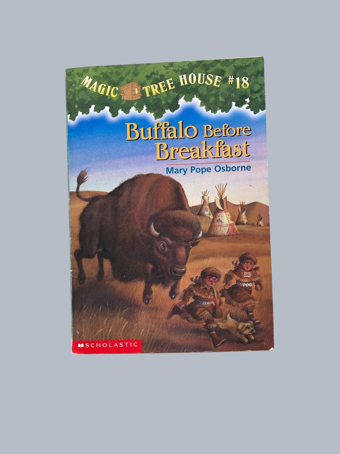 Magic Tree House - various titles
