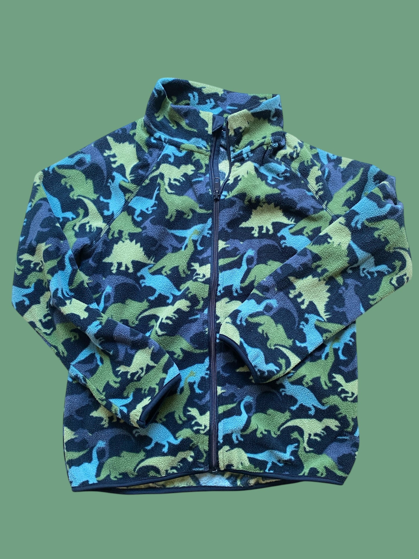 Dinosaur zipper fleece 8-10Y | H&M