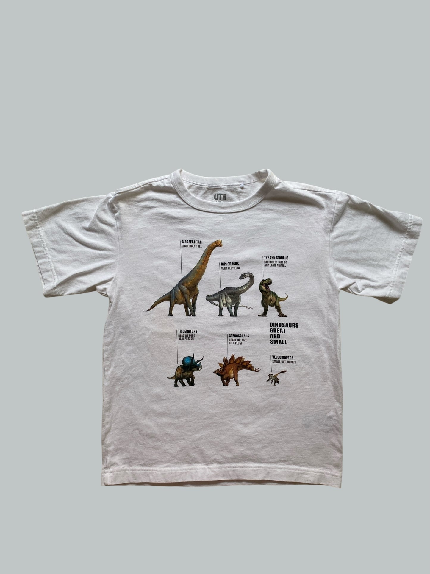 Cotton dinosaur t-shirt 9-10Y (140) | Uniqlo