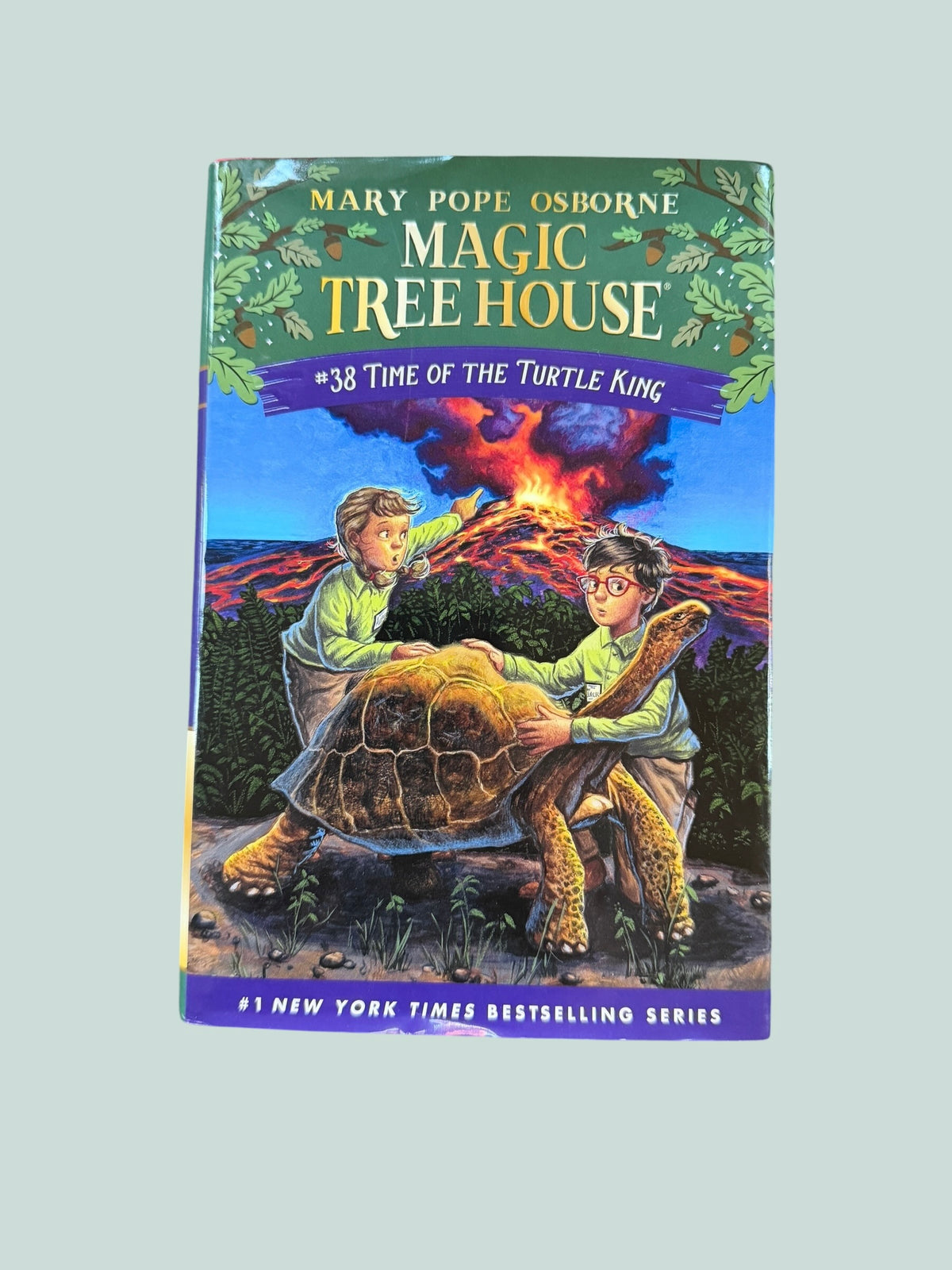 Time of the Turtle Kind | Magic Tree House